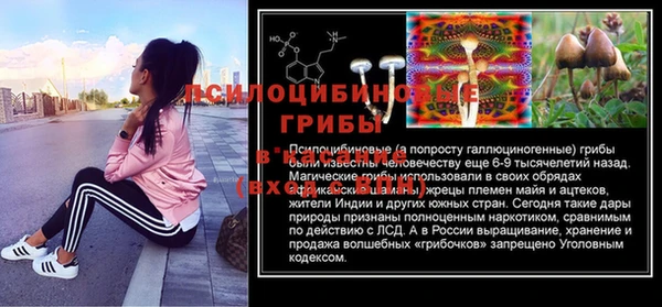 спайс Болотное