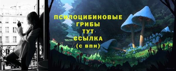 гидропоника Арсеньев
